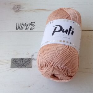 Puli 1873