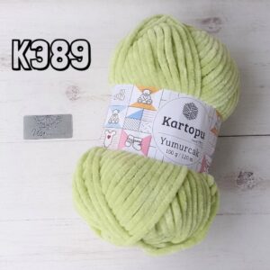 K389