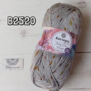 B2520