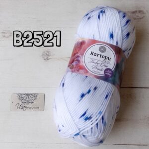 B2521