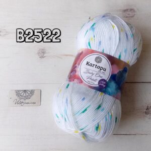 B2522