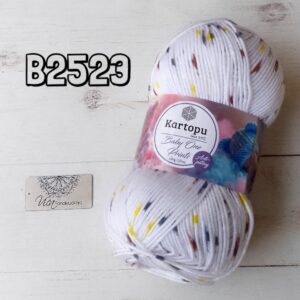 B2523