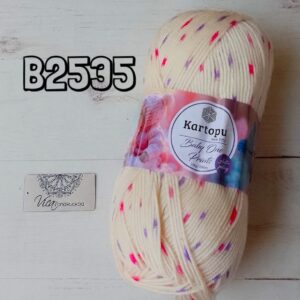 B2535