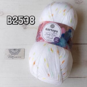 B2538